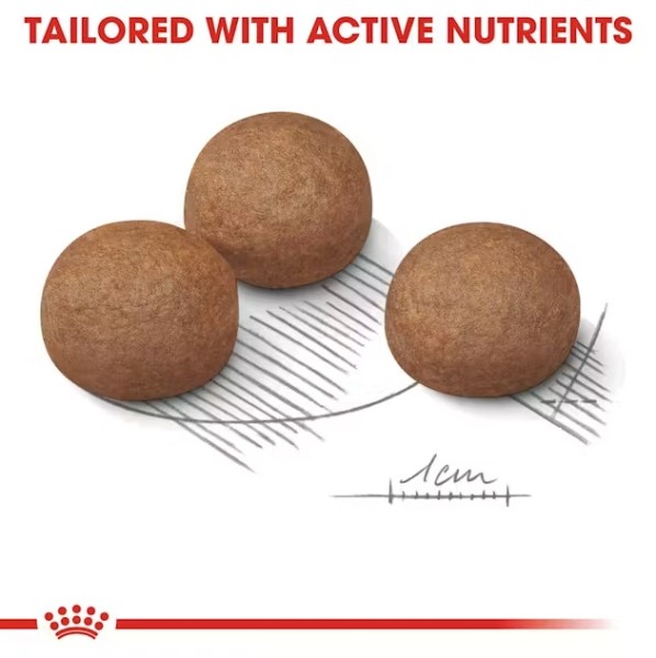 Royal Canin Digestive Care Maxi - Суха храна за кучета с чувствителна храносмилателна система